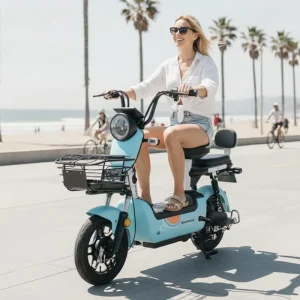Factory Sale Ebike Warehouse Vintage for Electric Bicycle for Men Adults City Bike with Rear Hub Motor and Sensor