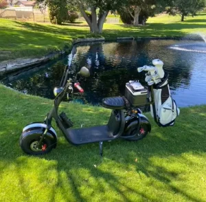 Fat Tire 2 Wheel Citycoco Electric Tricycle Golf Scooter 2000W Accessories Golf Electric Scooter with Golf Bag