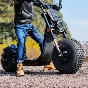 Fat Tire E Scooter 2000W Motor 60V Citycoco Two-Wheel Electric Scooter Powerful