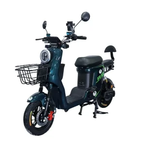 Foreign Trade Exclusive Electric Scooters Bikes Factory Direct Cross Border Two Seater 1000W 20Ah