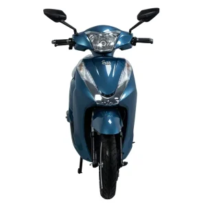 Full-size Adult Scooter with EEC Certification Brushless Motor