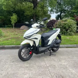 Gas Motorcycles Adult 125cc 150cc Fashion Gasoline Motorcycle