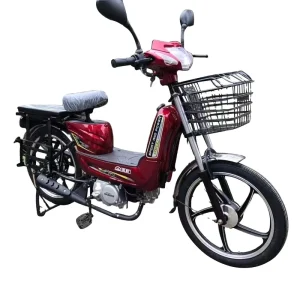 Good Performance Gas Motor 35cc Moped 50CC Drum Brakes Gasoline Scooter with Pedal and Bracket