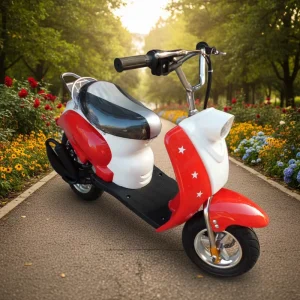 HAYA Super ScooterPocket Bike 49cc 2 Stroke Air-cooled Gas/Diesel Dirt Bike with Disc Brake and Chain Drive