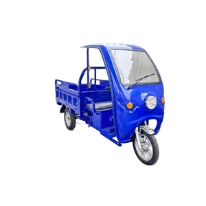 Half closed Three Wheel Cargo Electric Motorized Tricycles 3 Wheel Motorcycle