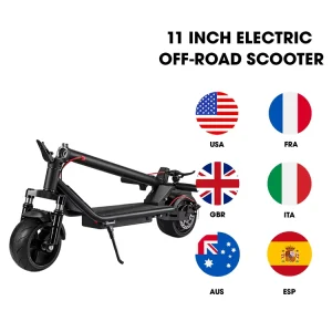 High Power 48V 25AH Dual Motor 500W Fat Tire Off Road Electric Scooter for Adult