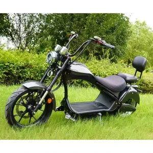 High Power 60V4000W High Endurance Two-Wheel Electric Chopper Electric Vehicle Brushless Two-Wheel Scooter 3000W Citycoco