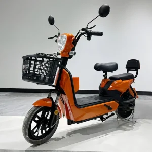 High Power Adult Electric Scooters CKD Electric Motorcycle with Pedals Electric Bicycle for Sale