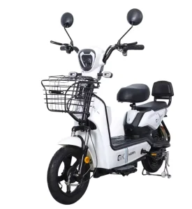 High Power Electric Scooter Full Suspension Mountain Ebike 48V Electric Bicycle Electric Motor Bike