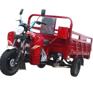 High Quality 18KW 20KW Motorcycle Car Gasoline Engine Chinese Tricycle Motor Tricycle Gasoline Micro Car Gasoline