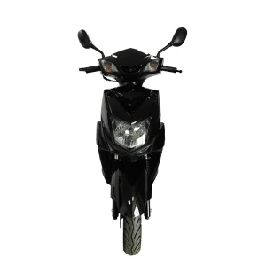 High Quality City Leisure Adult Two Wheel Electric Scooter Motorcycle Brushless Motor 101.8CC Engine 80km h