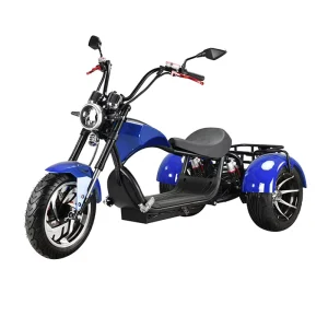 High Speed Electric Scooter CKD Electric Scooter Electric Motorcycles with Pedals Disc Brake