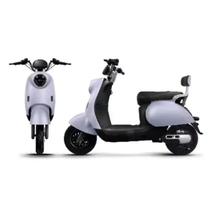 High-Speed Electric Scooter Disc Brake Electric Motorcycle Bicycle E Bike Motorcycle