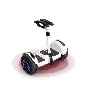 Intelligent Two Wheel Self Balancing Electric Scooter with Lithium Battery 550W Motor 15km h Speed for Kids & Adults
