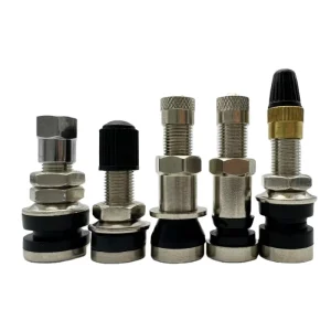 JS430 1.5mm/0.453” Bolt in Tire Valve Stem Scooter Clamp-in Brass Tire Valves for Rim Hole