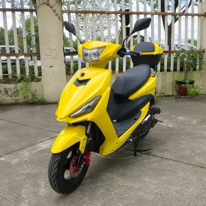 Jigger 50CC Mini Essence Gas Scooter Air Cooled Front Disc Brake High Speed Gas Moped on Road