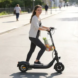 KINGSONG N15 KSE Electric Scooter Adults 500W Motor 37V 10.4AH Lithium Battery 18.6MPH E Scooters Dual Suspensions E scooter