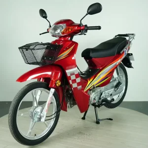 Lady Bike Motorcycle 110CC Two Wheels Gas Scooters