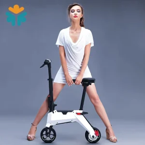 Light Weight Folding Powerful Adult 2 Wheel Electric Scooter