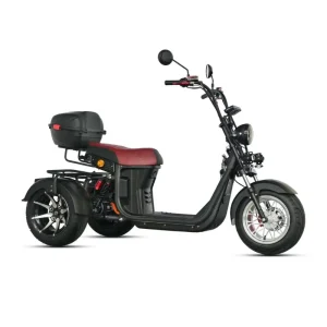 Loyal New Model Citycoco Electric Scooter 3 Wheel Citycoco 3000w Electric Fat Tire Citycoco Three Wheel Trike Tricycle 4000w