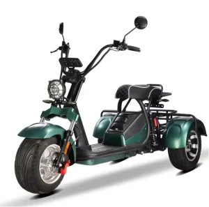 Loyal New Style Tricycle Passenger and Cargo Tricycle Motorcycle Three Wheels Motorcycle Trike Scooters Citycoco 4000w Dual