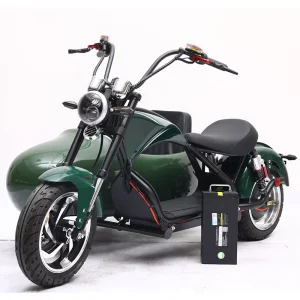 Loyal Vintage Classic Electric Motorcycles Chinese Factory Produced Sidecar Three Wheel Motorcycle Sidecar Bike