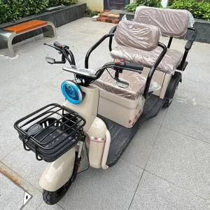 Mini 1000W Electric Adult Driving 3 Passenger Tricycle 3 Wheel Open All Terrain Mobility Scooter for Touring Transport Trike