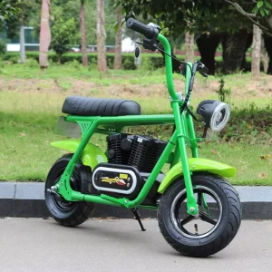 Mini Electric 160W Brushless Steel Scooter Dual Wheel 24V Motor for 6-8 Years Old