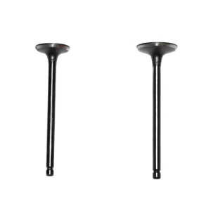 Motorcycle Spare Parts Valve CH125 Scooter Intake Exhaust Valves Compatible Fits for CH125 Spacy 125CC