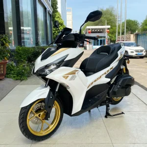 NVX 200cc Custom Motorcycle Street Gas Scooter Off-Road Air Cooled Engine
