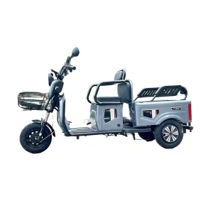 New 1000W 72V High Torque Carbon Steel Dual Use Electric Tricycle Scooter for Elderly Mobility and Cargo Delivery