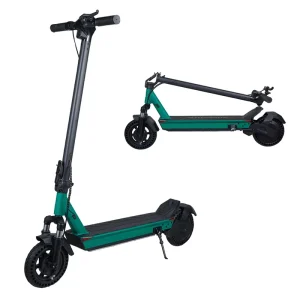New Arrival 600W Big Motor 36V 15Ah Electric Scooters for Adults