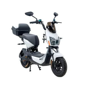New Chinese Adult Two Wheeled Electric Road Bikes and Scooters Steel Frame Brushless Motor Central Motor