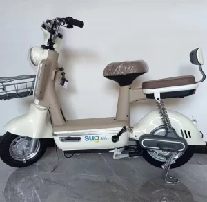 New Design 48V Battery Other Electric Bicycles Scooter Electric City Bike for Adults E Bike