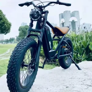 New Design Electric Scooter 500W 750W 20inch Fat Tire Electric Mountain Bicycle
