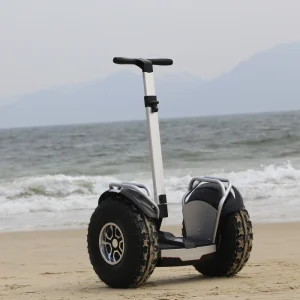 New Design Fast Power Wide 2 Wheel Electric Scooter with 80km Range Per Charge Electronic Smart Type Fat Tire