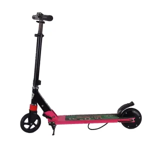 New Design Powerful Adult Electric Scooter Fast Outdoor Two Wheel Off Road Scooter