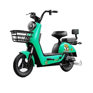 New Model Factory Direct Sales New National Standard Electric Scooter Commuter Bike Two Wheel 48V 55-65km Range Rear Hub Motor