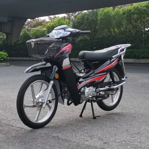 New National Four EFI Curved Beam Gas Scooter Fuel Saving 110CC Brand China 125 Men’s and Women’s