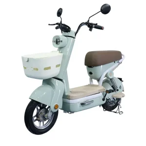 New Southeast Asian Brushless Electric Scooter 350W Motor 25-35km Range Model