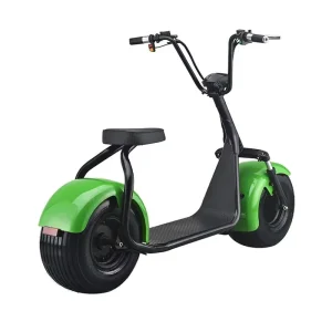 New Style Electric Fat Tire Scooter Moped with 60V 2000W Rear Hub Motor E-Bike Adult Citycoco Bike