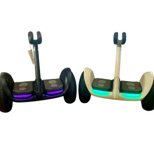 Ninebot Smart Off-Road Electric Chariot Two Wheel Electric Self Balancing Vehicle Drift Scooter