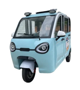 OEM Adult Fully Enclosed Passenger Carrying Electric 3 Wheel Tricycle Scooter with Canopy Sightseeing Taxi