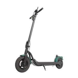 OEM ODM Electric Scooter 10 inch 350W for Adults