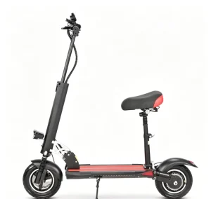 Off Road 10 Inch Waterproof 36V/48V 500W/800W Electric Scooter