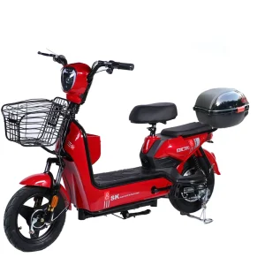 Paige Factory Direct Sales E Bike Made in China Storage Electric Bicycle Electric Scooters City Bike for Adult Electric Pedicab