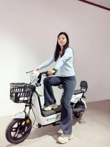 Portable 48V 15AH Lead Acid Battery Electric Bicycle City Scooter with 3-Speed and Dual Disc Brakes