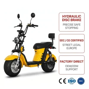 Powerful 3000W Aluminum Alloy Two Wheel Electric Scooter with Fat Tire Waterproof Design for Adults