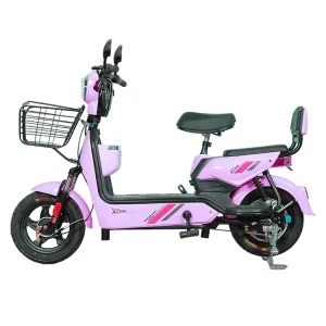 Powerful Electric Bike Scooter Other Electric Bikes for Adults