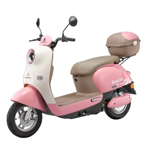 Powerful Electric Motorcycle Scooter Two Wheel Adult High Speed Ebike